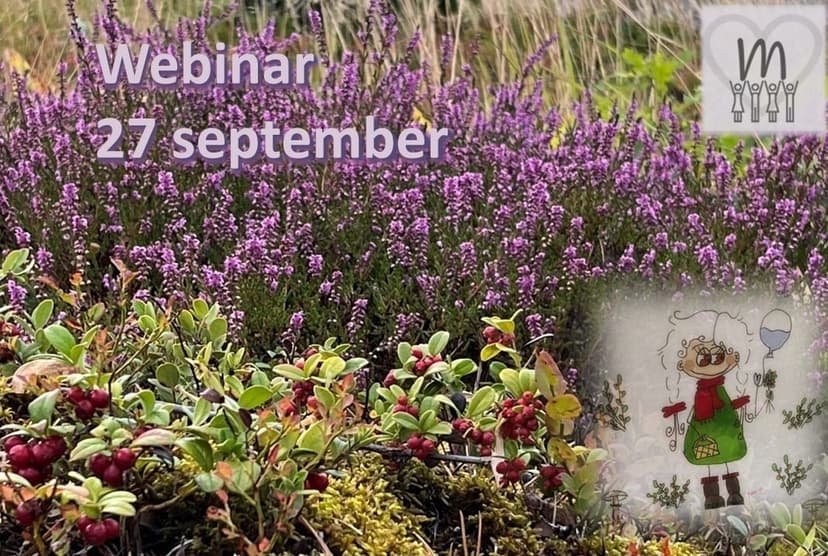 Webinar