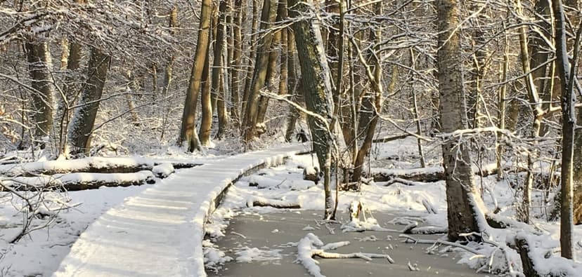 Kyrksjön på vinter