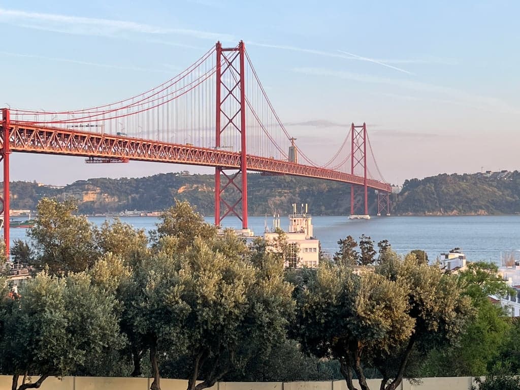 IMG_5951.jpeg